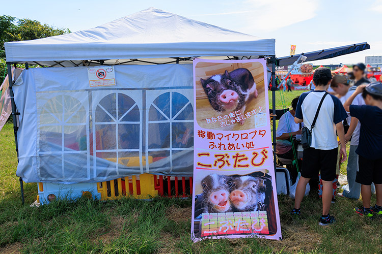 ひがよど祭り